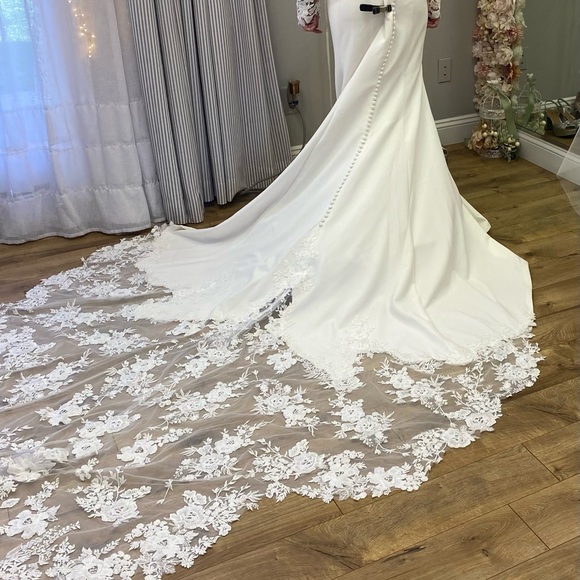 This is a beautiful Justin Alexander wedding dress that is ready for the taking! - Picture 12 of 13